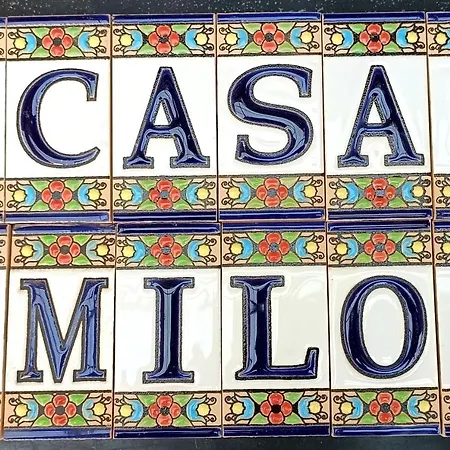 Casa Milo Playa Locos 公寓