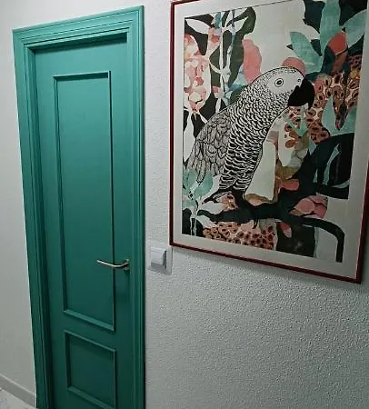 Casa Milo Playa Locos 托雷维耶哈