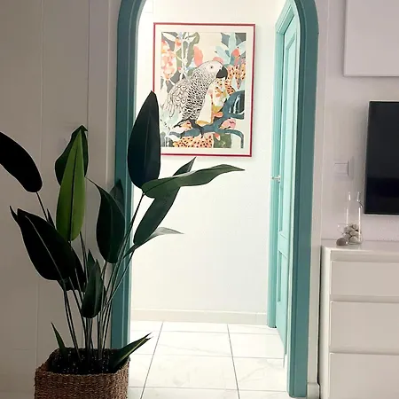 公寓 Casa Milo Playa Locos 托雷维耶哈