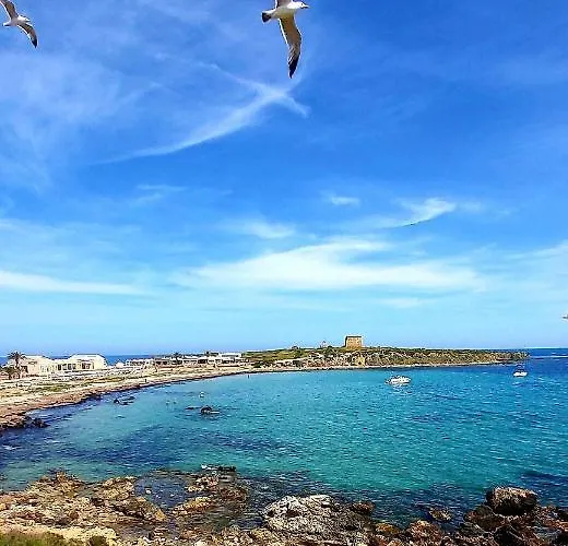 Casa Milo Playa Locos Apartment *