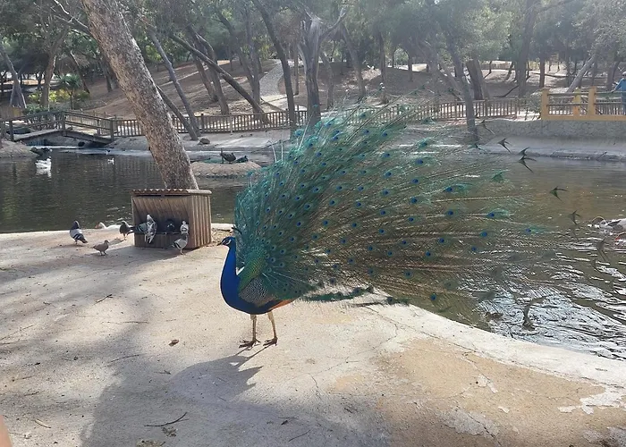 Apartment Casa Milo Playa Locos *