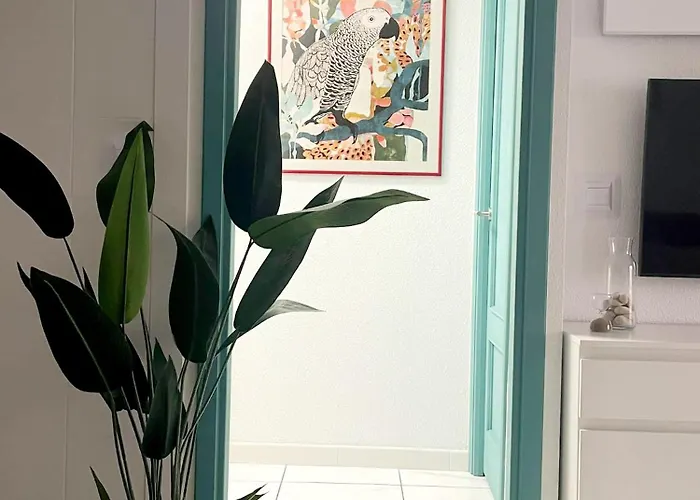 Apartment Casa Milo Playa Locos Torrevieja